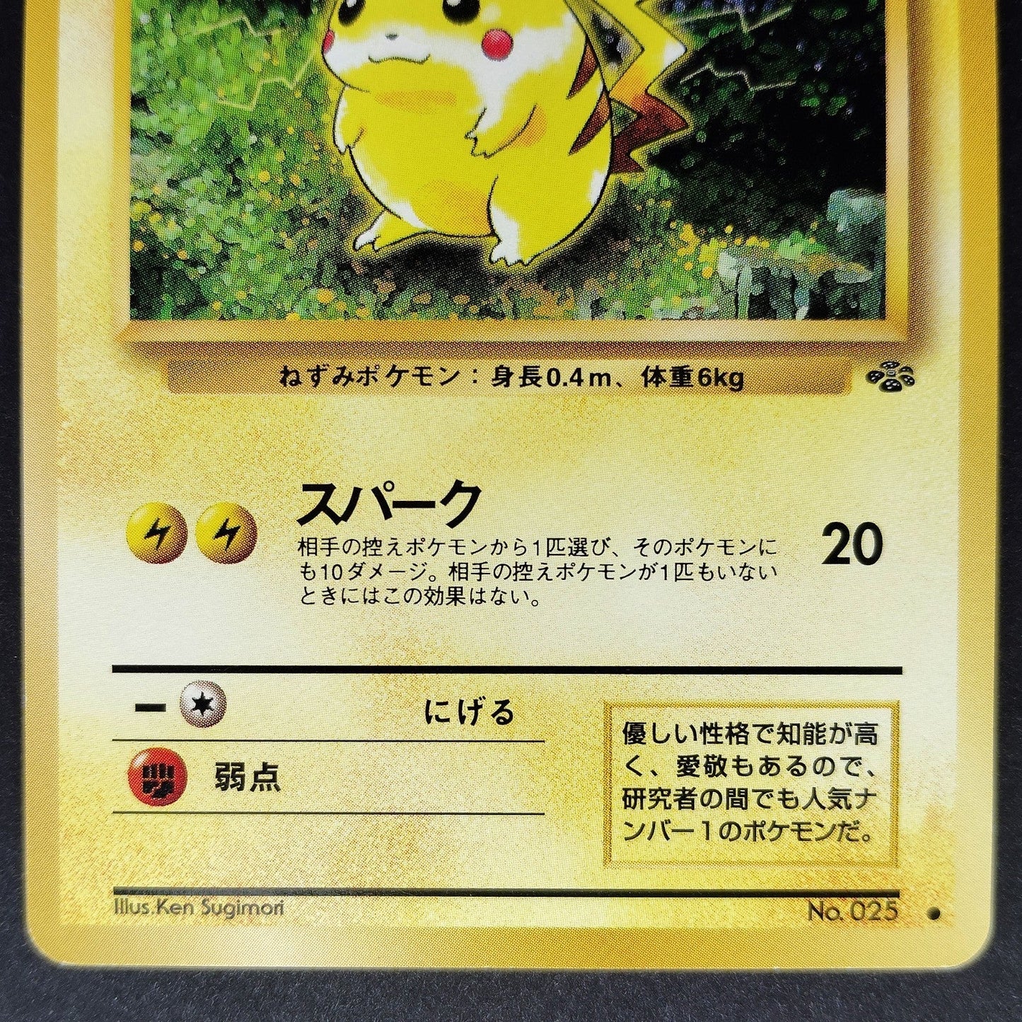 Pikachu LV.14 No. 025 Jungle Old Back LP 1997 Japanese Pokemon Card
