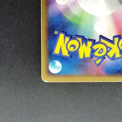 Rayquaza PokePark Promo 041/PCG-P XY0-HP7-5GF HP 2005 Japanese Pokemon Card