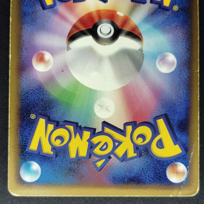 Rayquaza PokePark Promo 041/PCG-P XY0-HP7-5GF HP 2005 Japanese Pokemon Card