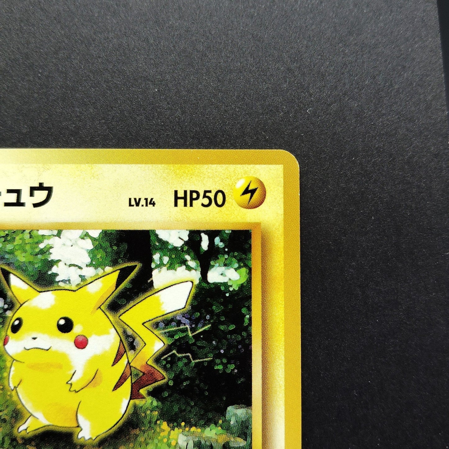 Pikachu LV.14 No. 025 Jungle Old Back LP 1997 Japanese Pokemon Card