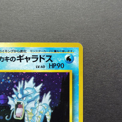 Giovanni's Gyarados LV.40 Gym Challenge No.130 Old Back LP Japanese Pokemon Card