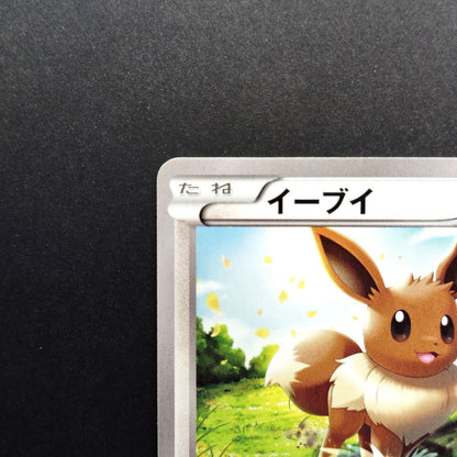Eevee The Best of XY 100/171 Near mint 2024 Japanese Pokemon Card