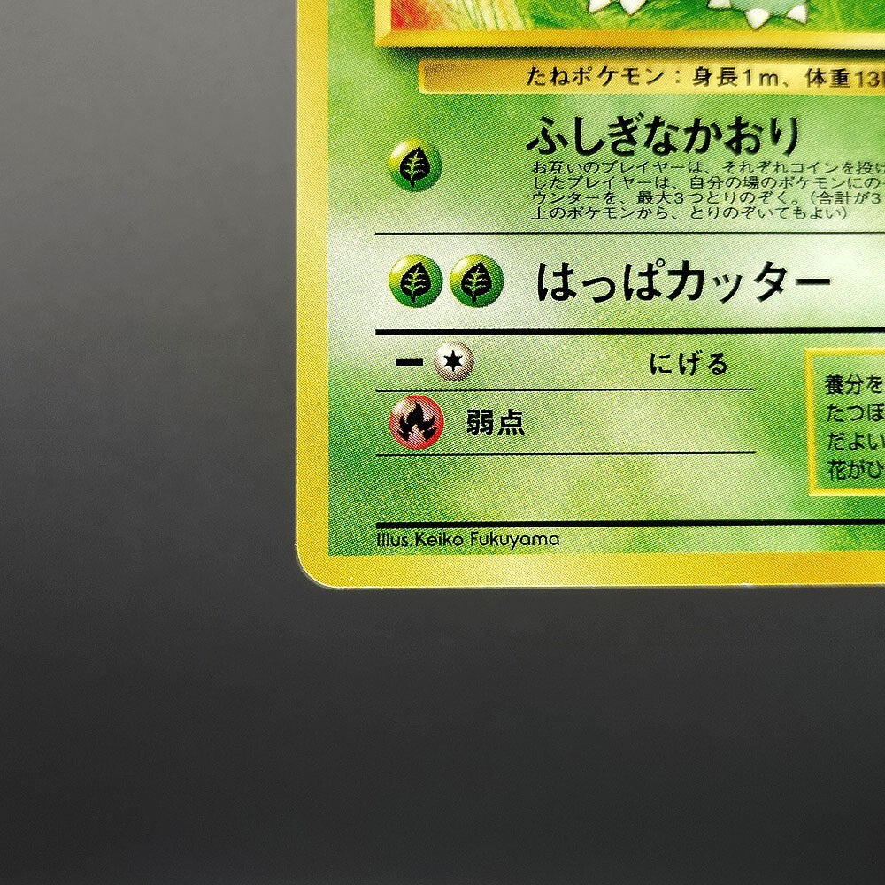 Ivysaur Southern Islands Old Back No.002 LP Promo 1999 Japanese Pokemon Card