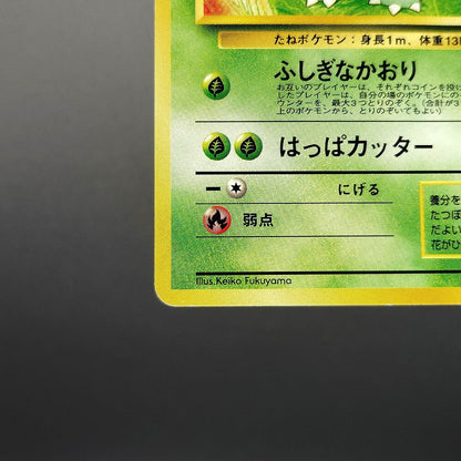 Ivysaur Southern Islands Old Back No.002 LP Promo 1999 Japanese Pokemon Card