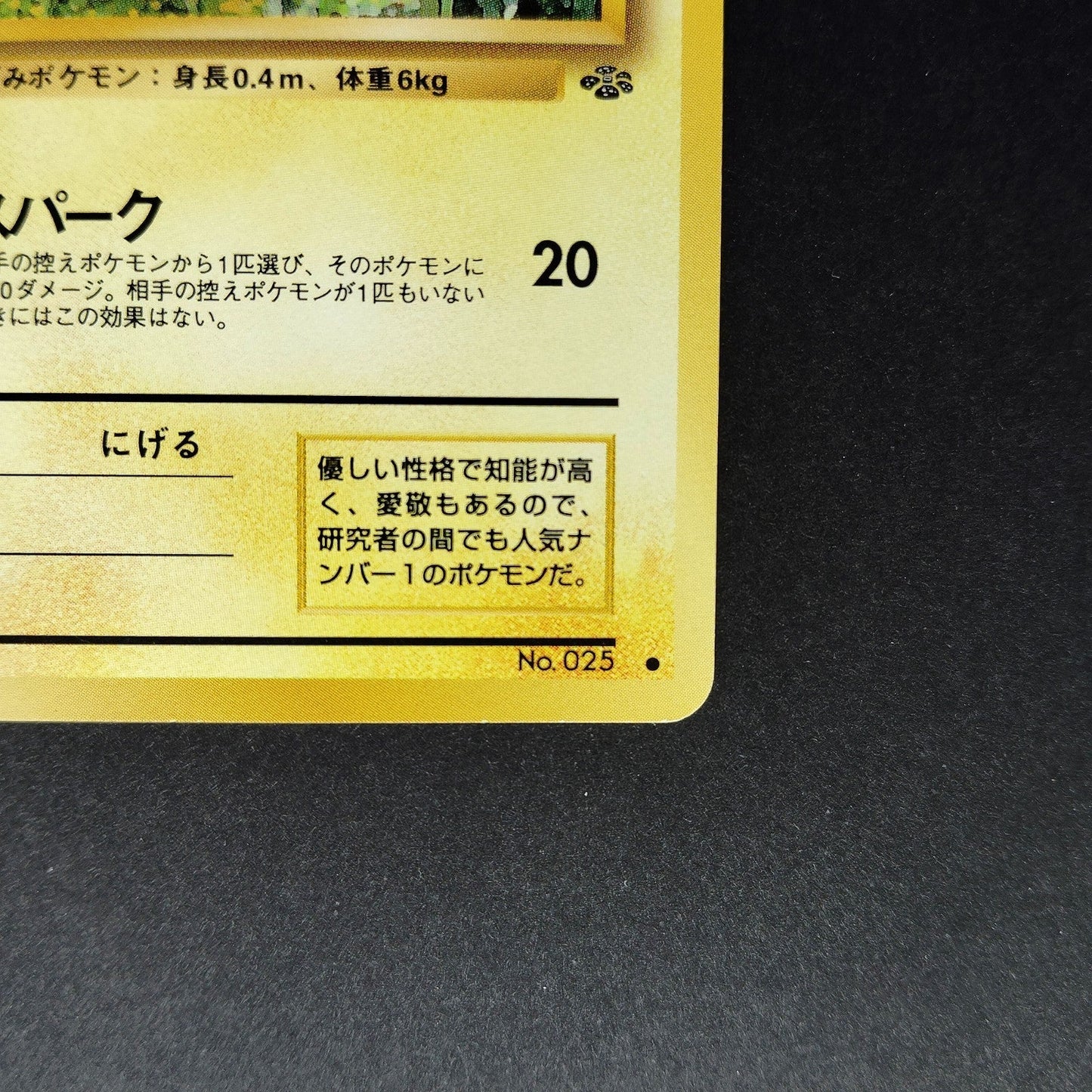 Pikachu LV.14 No. 025 Jungle Old Back LP 1997 Japanese Pokemon Card