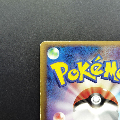 Rayquaza PokePark Promo 041/PCG-P XY0-HP7-5GF HP 2005 Japanese Pokemon Card