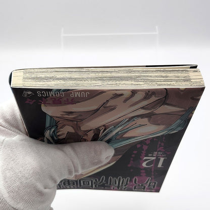Jujutsu Kaisen Vol 12 1st Printing First Edition Manga Comic Japanese 2020 Jump