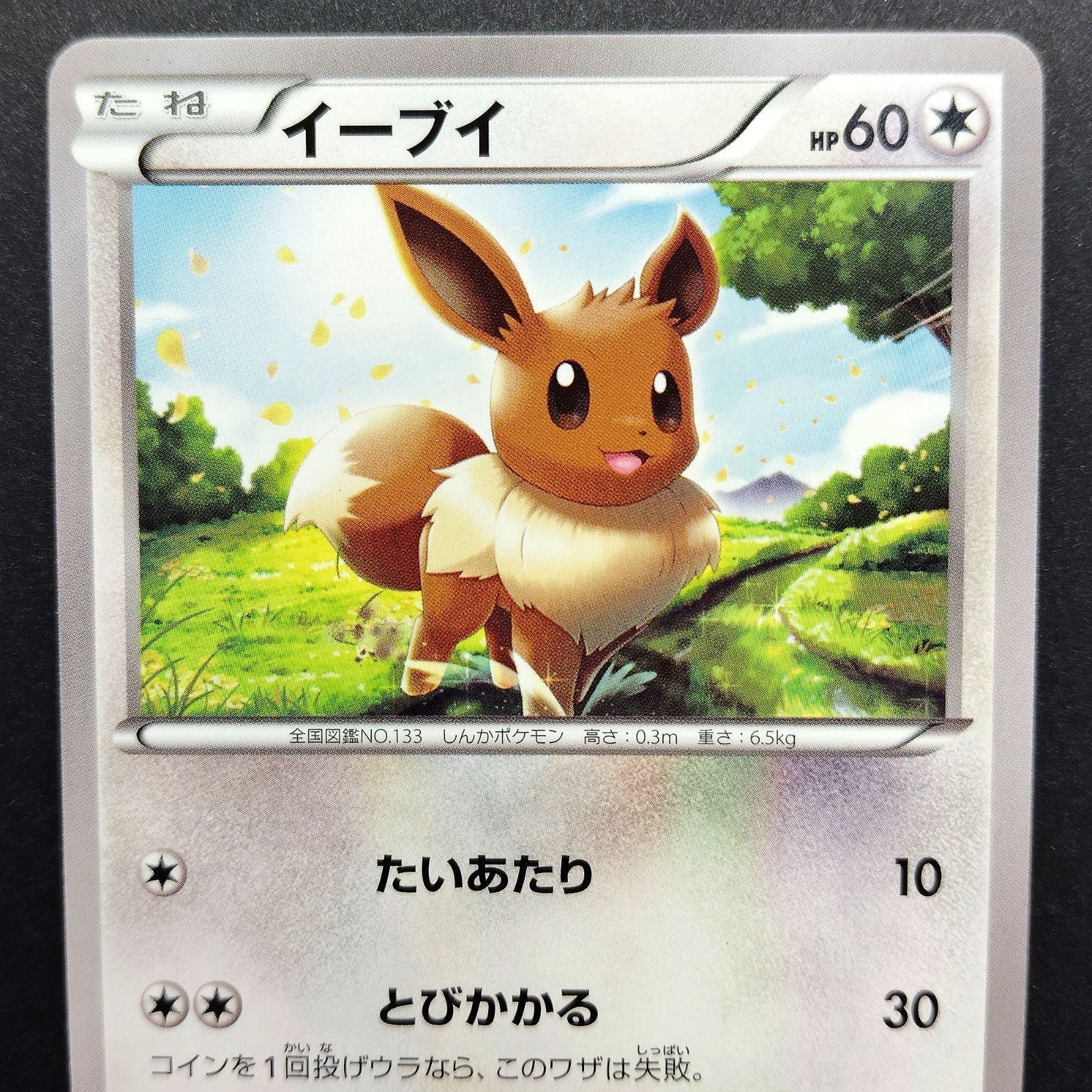 Eevee The Best of XY 100/171 Near mint 2024 Japanese Pokemon Card