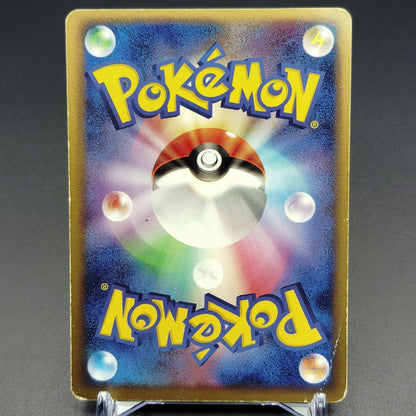 Rayquaza PokePark Promo 041/PCG-P XY0-HP7-5GF HP 2005 Japanese Pokemon Card