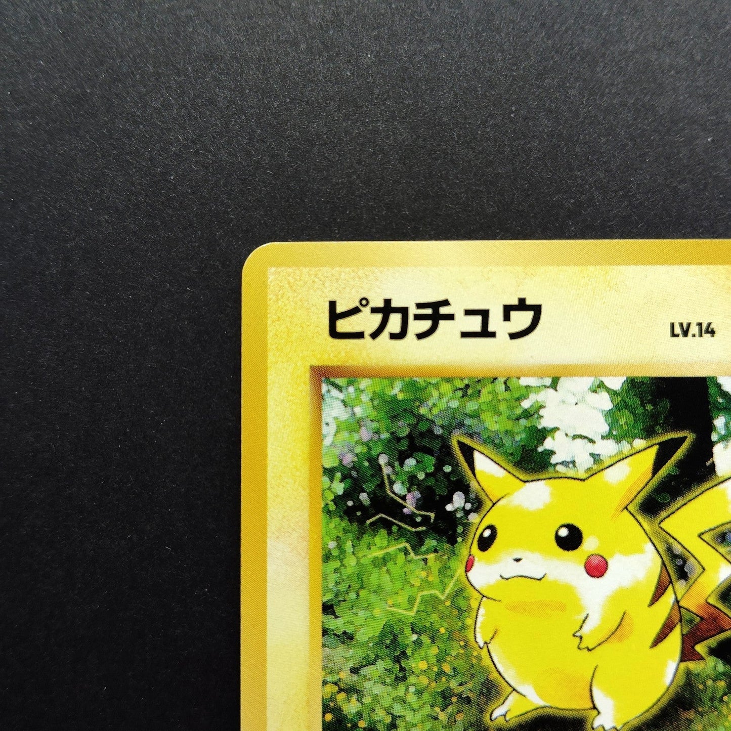 Pikachu LV.14 No. 025 Jungle Old Back LP 1997 Japanese Pokemon Card
