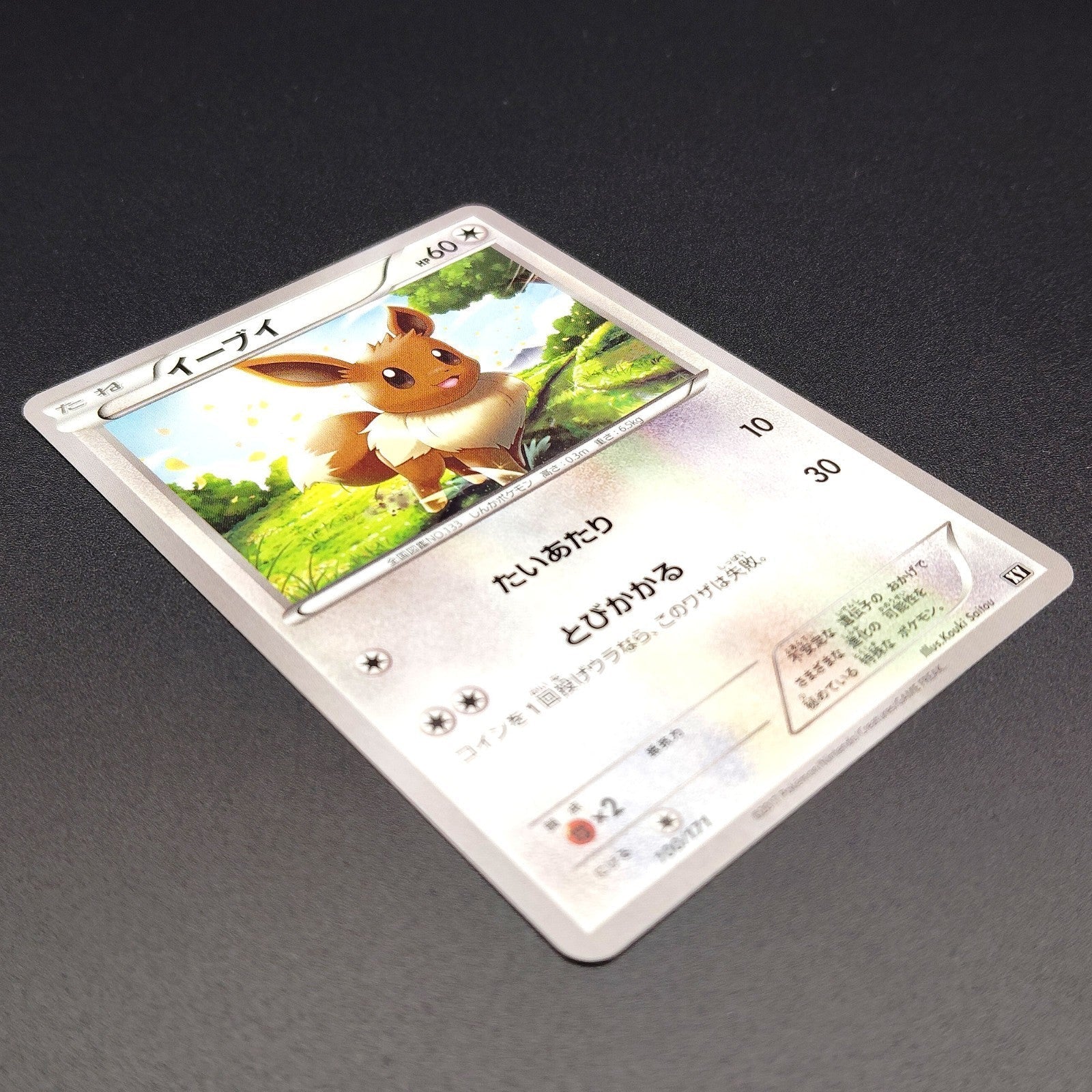 Eevee The Best of XY 100/171 Near mint 2024 Japanese Pokemon Card