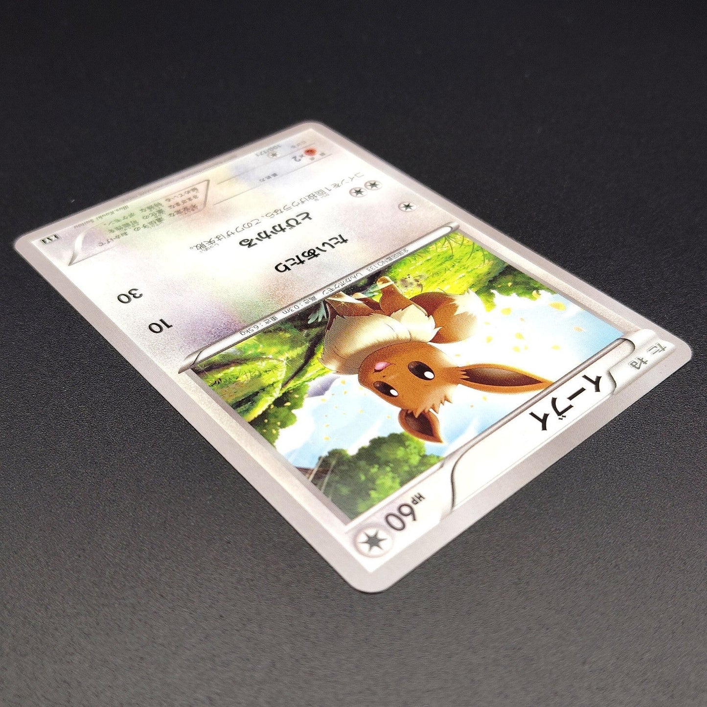 Eevee The Best of XY 100/171 Near mint 2024 Japanese Pokemon Card