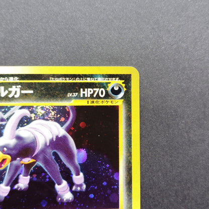 Swirl Houndoom LV.37 Neo Discovery No.229 Old Back LP Japanese Pokemon Card