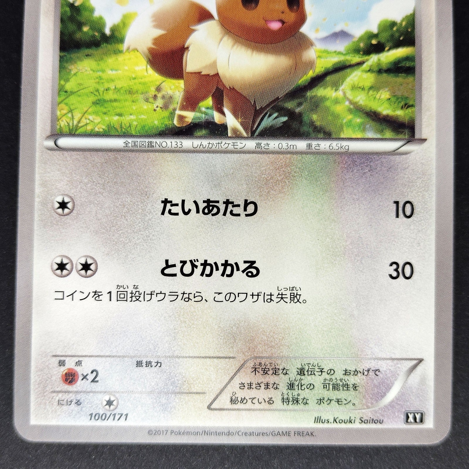Eevee The Best of XY 100/171 Near mint 2024 Japanese Pokemon Card