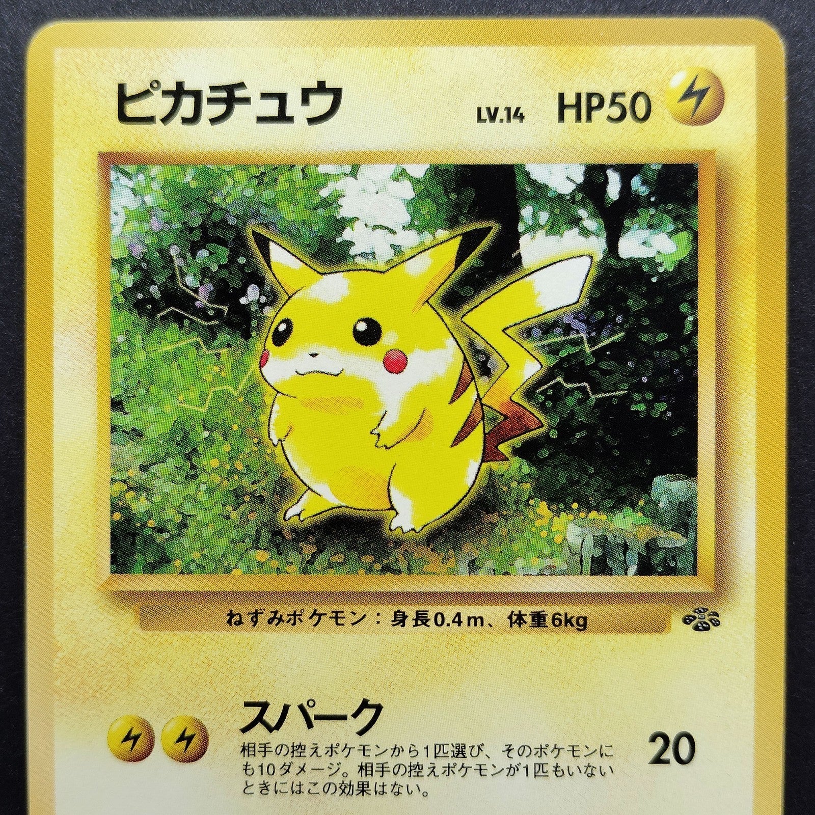 Pikachu LV.14 No. 025 Jungle Old Back LP 1997 Japanese Pokemon Card