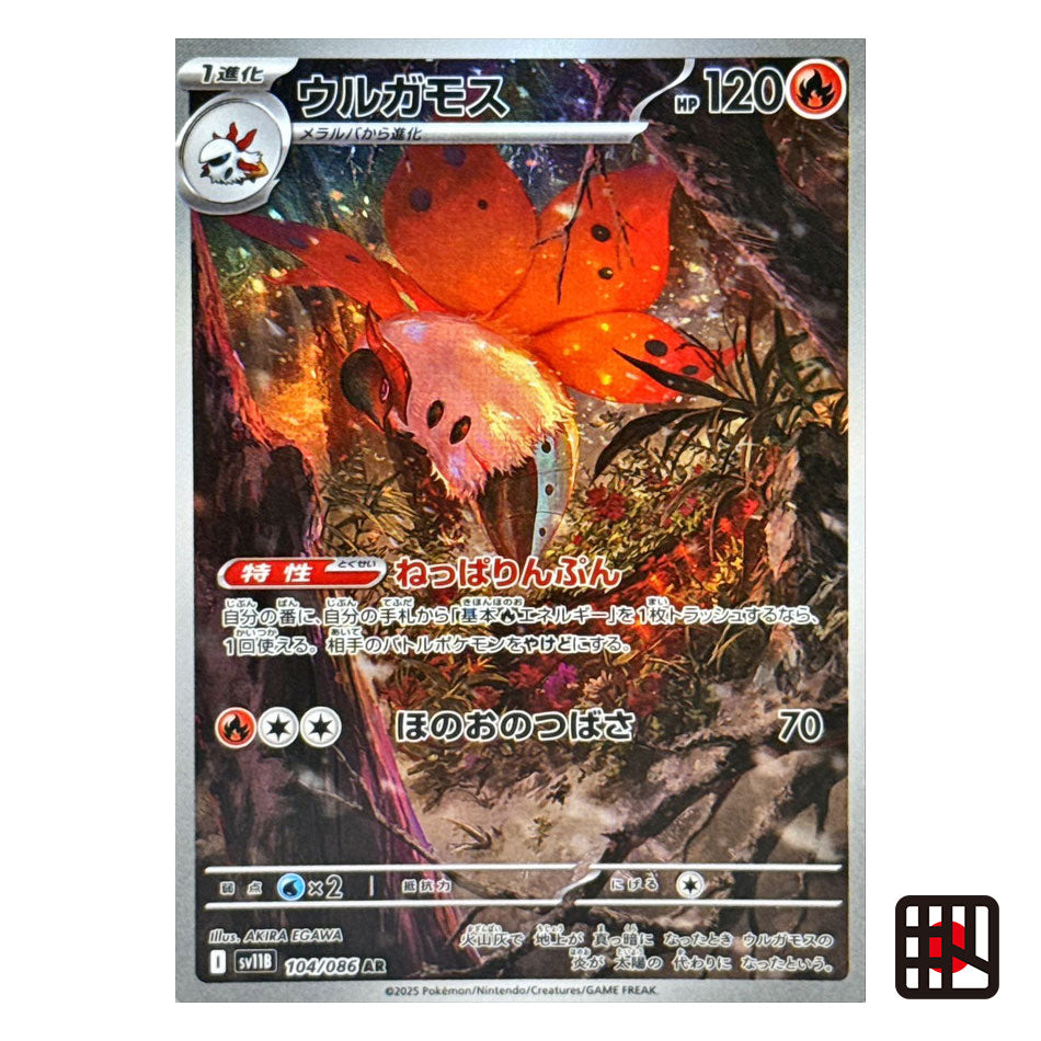 Single Cards | KITORIS JAPAN Official Store